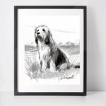 Personalised Bearded Collie Art Print