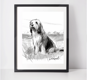 Personalised Bearded Collie Art Print