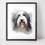 Personalised Bearded Collie Art Print