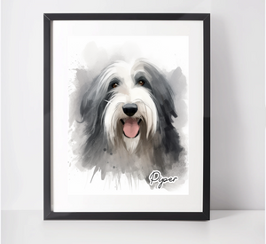 Personalised Bearded Collie Art Print