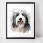 Personalised Bearded Collie Art Print
