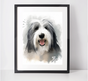 Personalised Bearded Collie Art Print