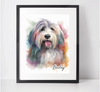 Personalised Bearded Collie Art Print