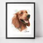 Personalised Irish Setter Art Print