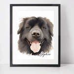 Personalised Newfoundland Art Print