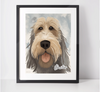 Personalised Otterhound  Art Print