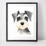 Personalised Schnauzer Art Print
